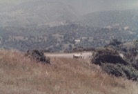 Out in front a Laguna Secca
