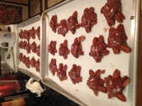 Turtles under construction I made the chocolate and the caramel