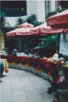 You get it buffet before 2000 people tear through it.