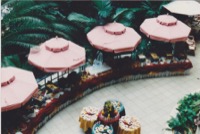 place holder