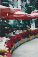 place holder