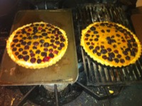 blackberry tarts Roxanne picked the berries