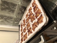 mas tortugas