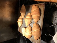 fourth batch calling it a success