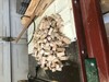 "Pile of bells"